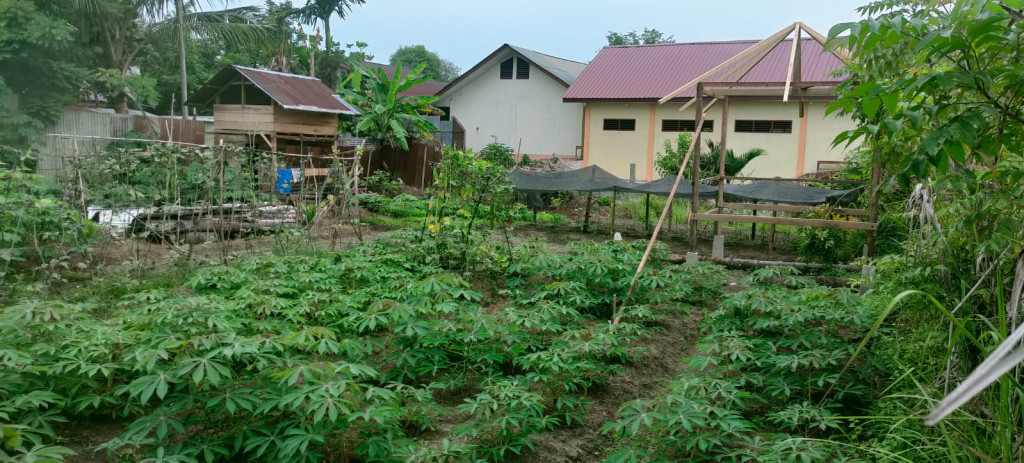 SALAH SATU DOKUMENTASI TANAH PETANI DESA LEMBAH BARU